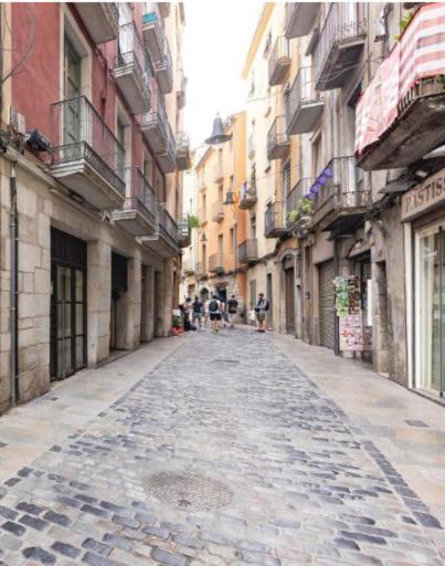 Apartamento Con Encanto Y Terraza En Barri Vell De Girona, El Cul De La Lleona Apartment Exterior photo